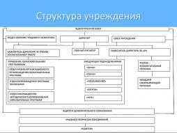 Структура и органы управления МБУДО ЦДТ "Содружество"